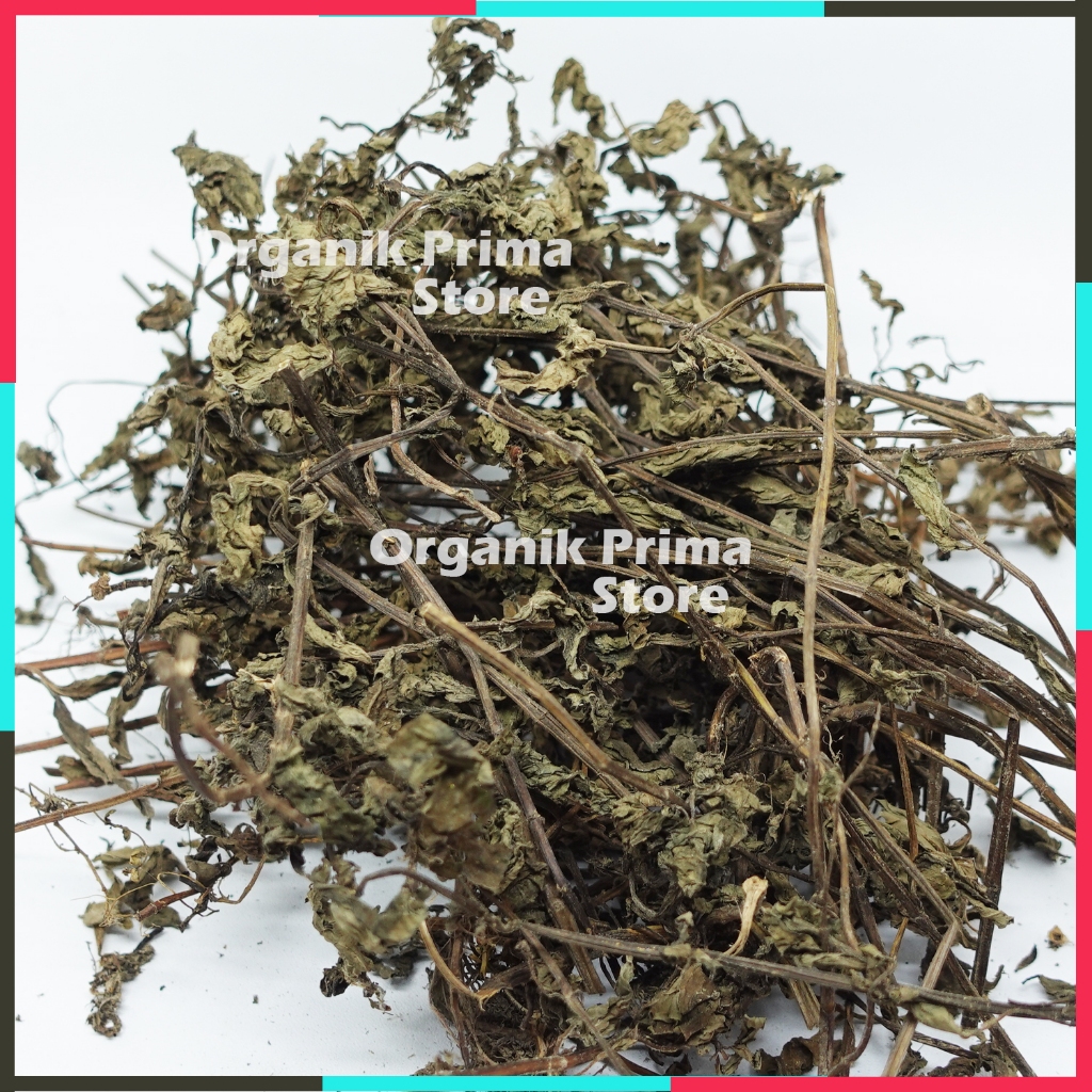 

Daun Mint 1kg Kering Harum dan Organik