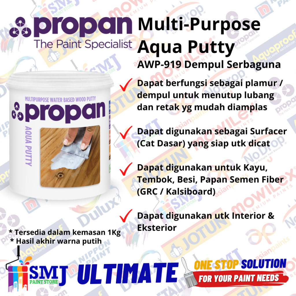 Dempul Kayu Duco PROPAN AQUA WOOD PUTTY AWP-919 Putih / White 1kg
