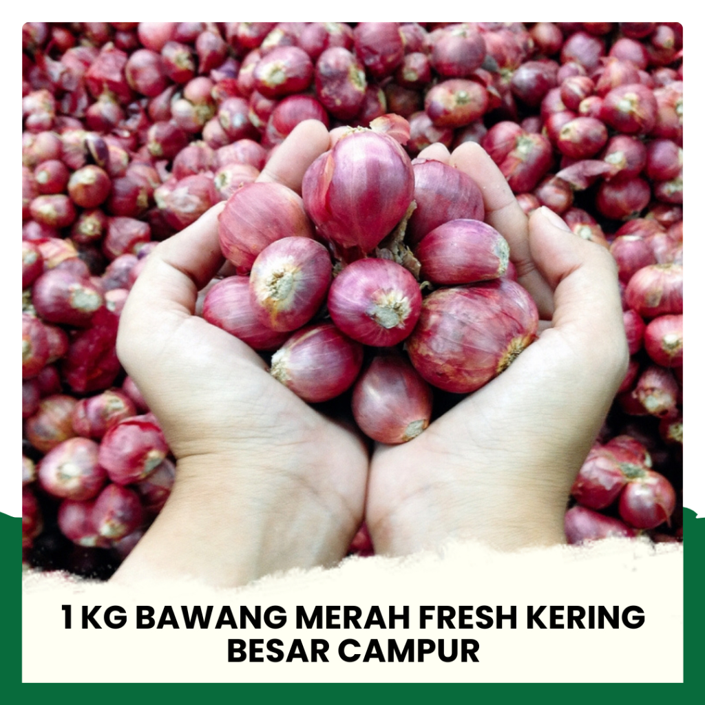 

Bawang Merah 1Kg Besar Sedang Bawang Merah Fresh Kering Berkualitas