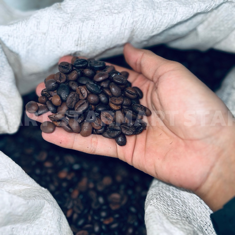 

biji kopi robusta tinggal giling per 1 gram