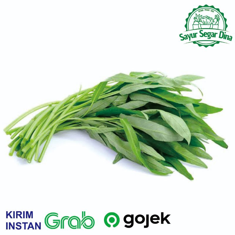 

Sayur Kangkung Tanpa Akar