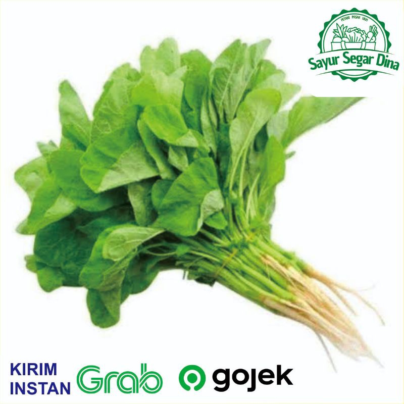 

Sayur Bayam 1 Ikat