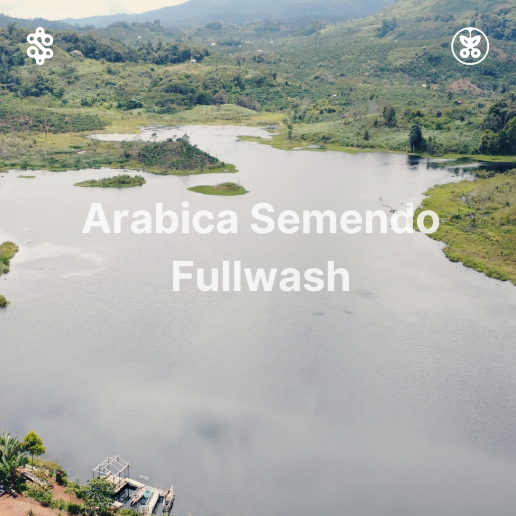 

Green Bean Coffee Arabica Semendo Fullwash 1Kg