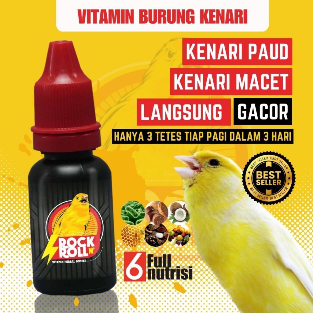 Vitamin burung kenari rock n roll paud muda jantan langsung gacor ngepol