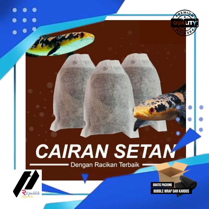 Cairan setan ikan channa / racikan treatment
ikan chana / ikan chana / chana