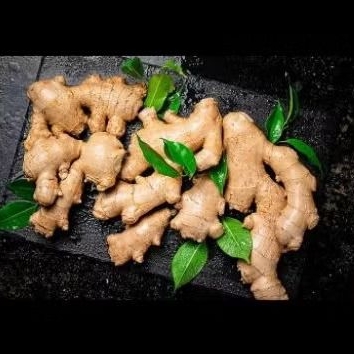 

Jahe Bumbu dapur