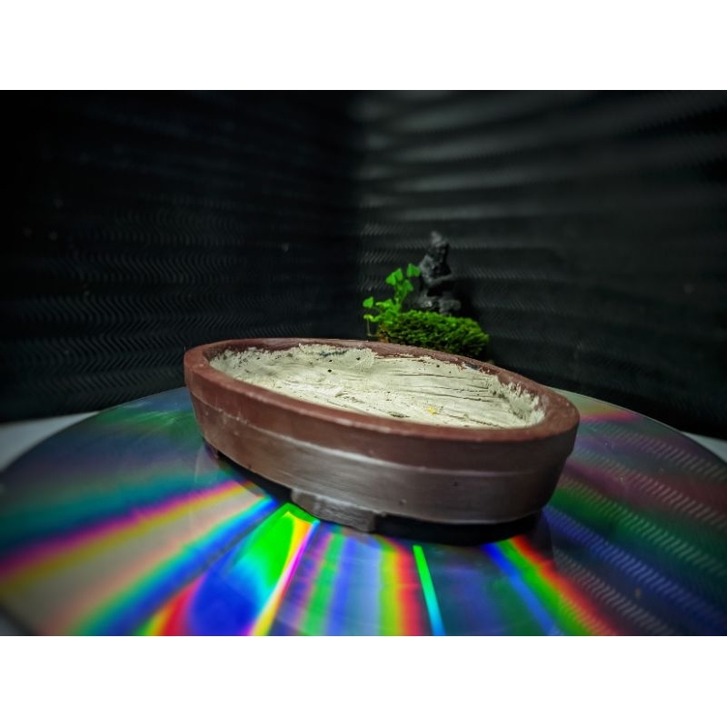 Bonsai Pot Oval penjing BEST SELLER