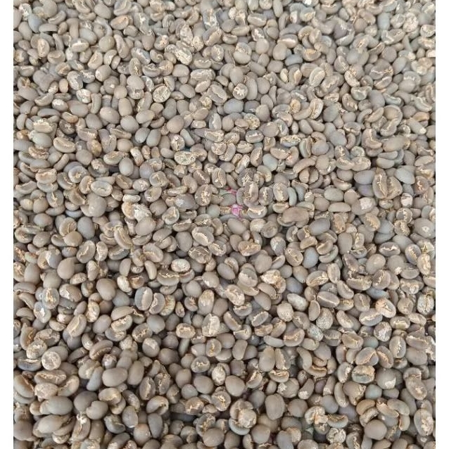 

Biji Kopi Mentah Arabika Gayo Premium Green Bean Semi Wash Process Grade 1