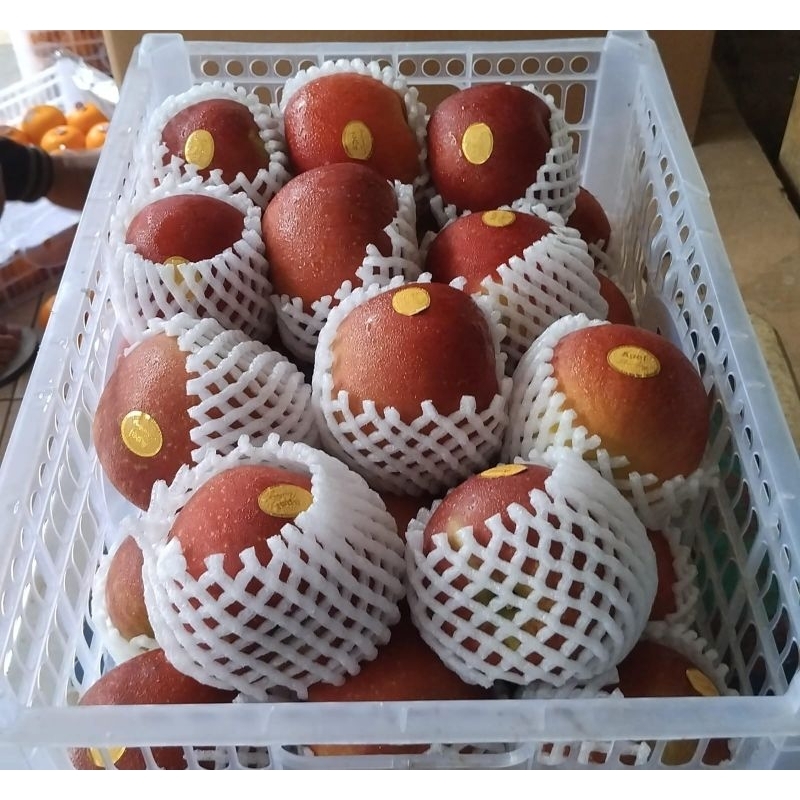 

Indukbuah Buah Apel Madu Gala China 1 Keranjang 5kg