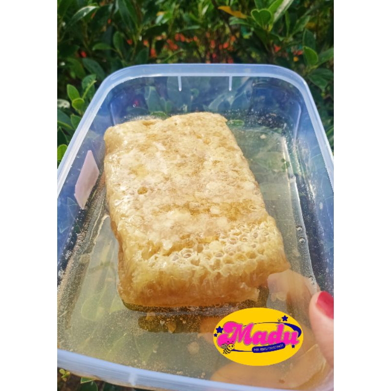 

Sarang Madu Asli 500gr