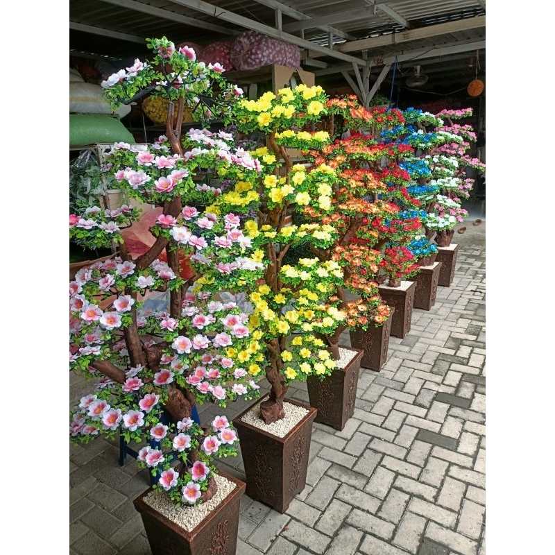 [Bunga set pot] Pohon bonsai hawai ekstra jumbo 200 cm / bunga hiasan sudut ruangan / bunga artifici
