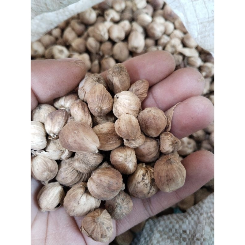 

kapulaga kapolaga kering 200gram