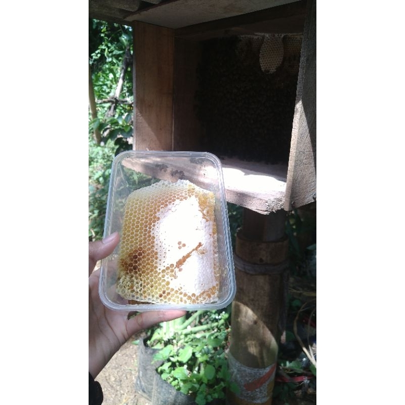 

[500gr]Madu Sarang Asli Murni alami 100%