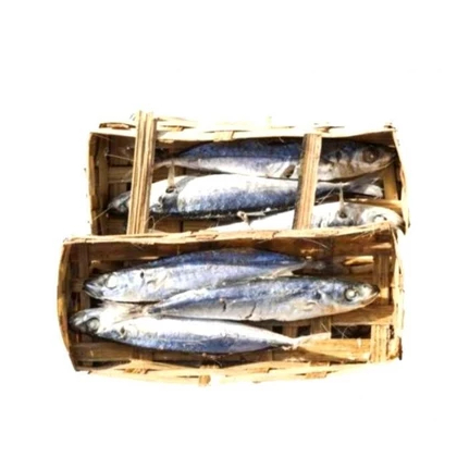 

Ikan Pindang Kecil Fresh Besek isi 4-6 Ikan