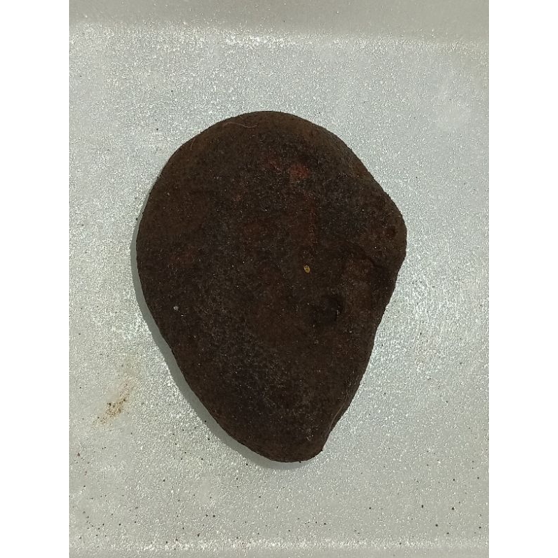 meteor siung warak P