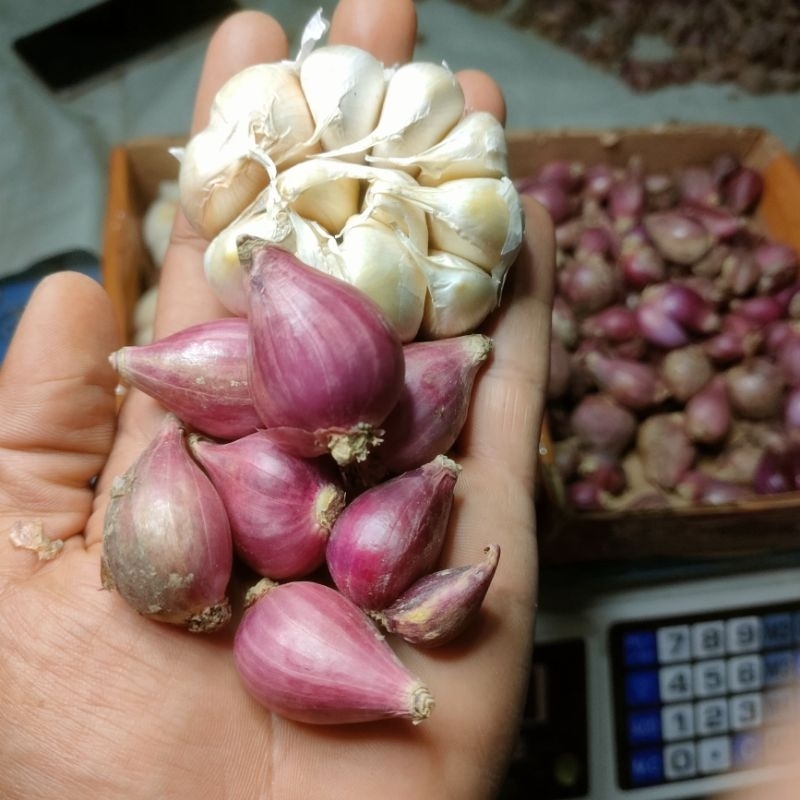 Bawang Merah SEDANG mix Bawang Putih KUTTING 1KG