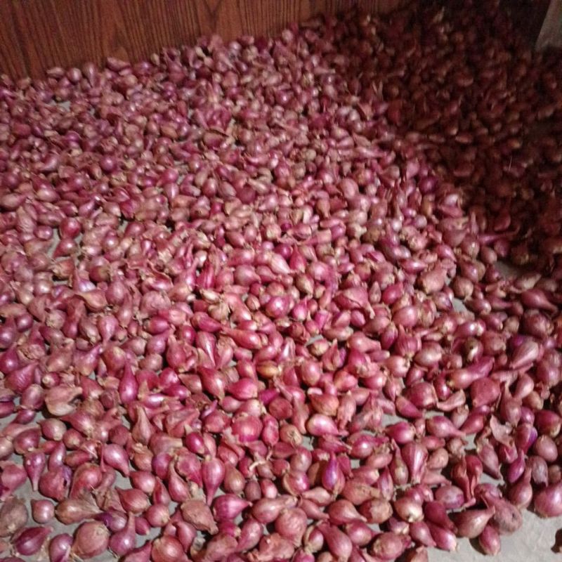 

BAWANG MERAH BREBES BESAR TANGGUNG 1kg