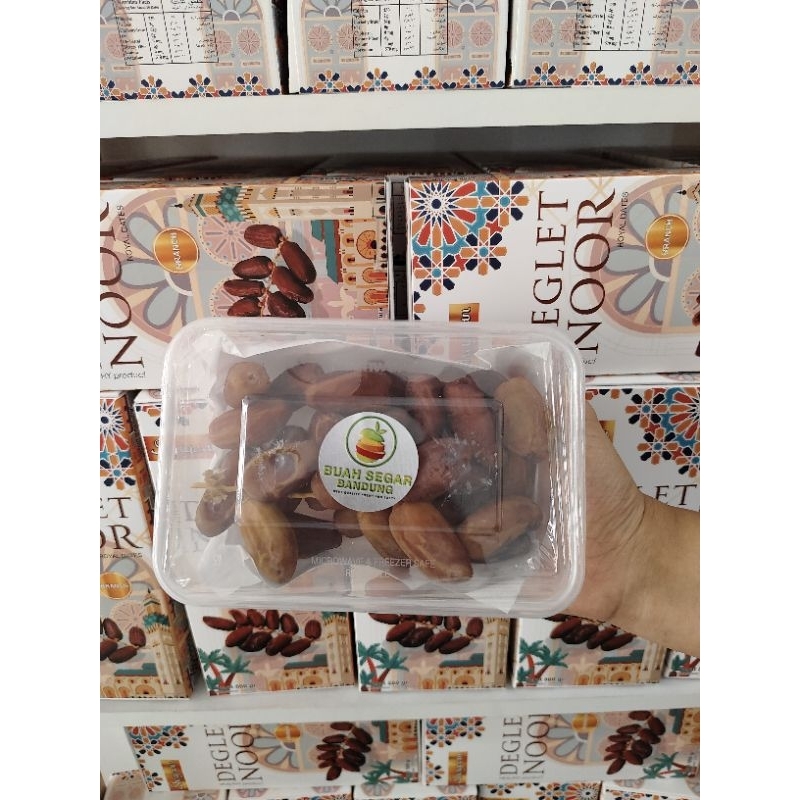 

KURMA TUNISIA TANGKAI