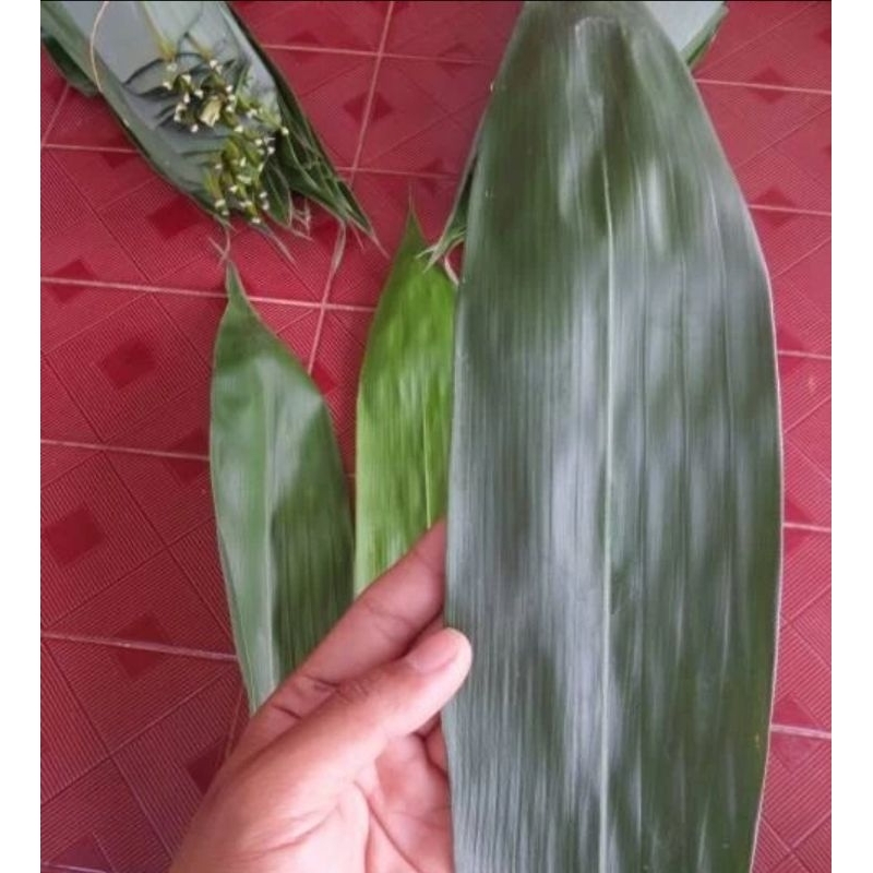 

Daun bambu segar per helai