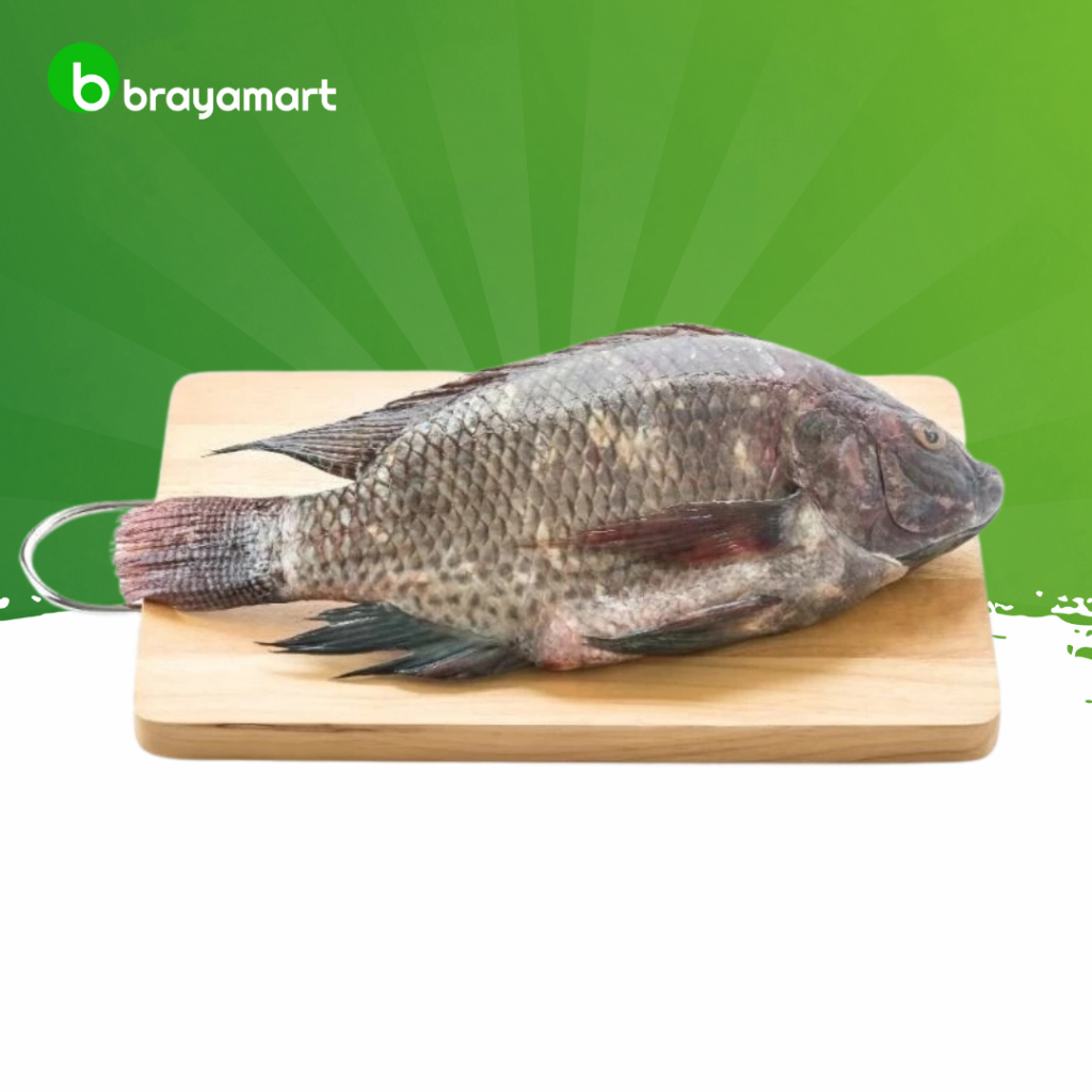 

Ikan gurame gurami 1kg Brayamart