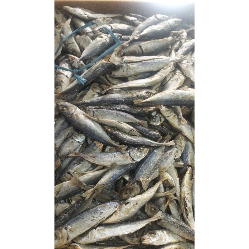 

ikanasin