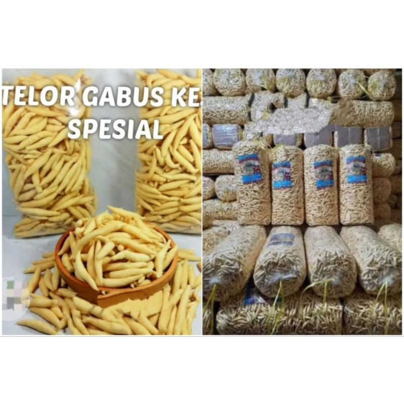 

Gabus Keju