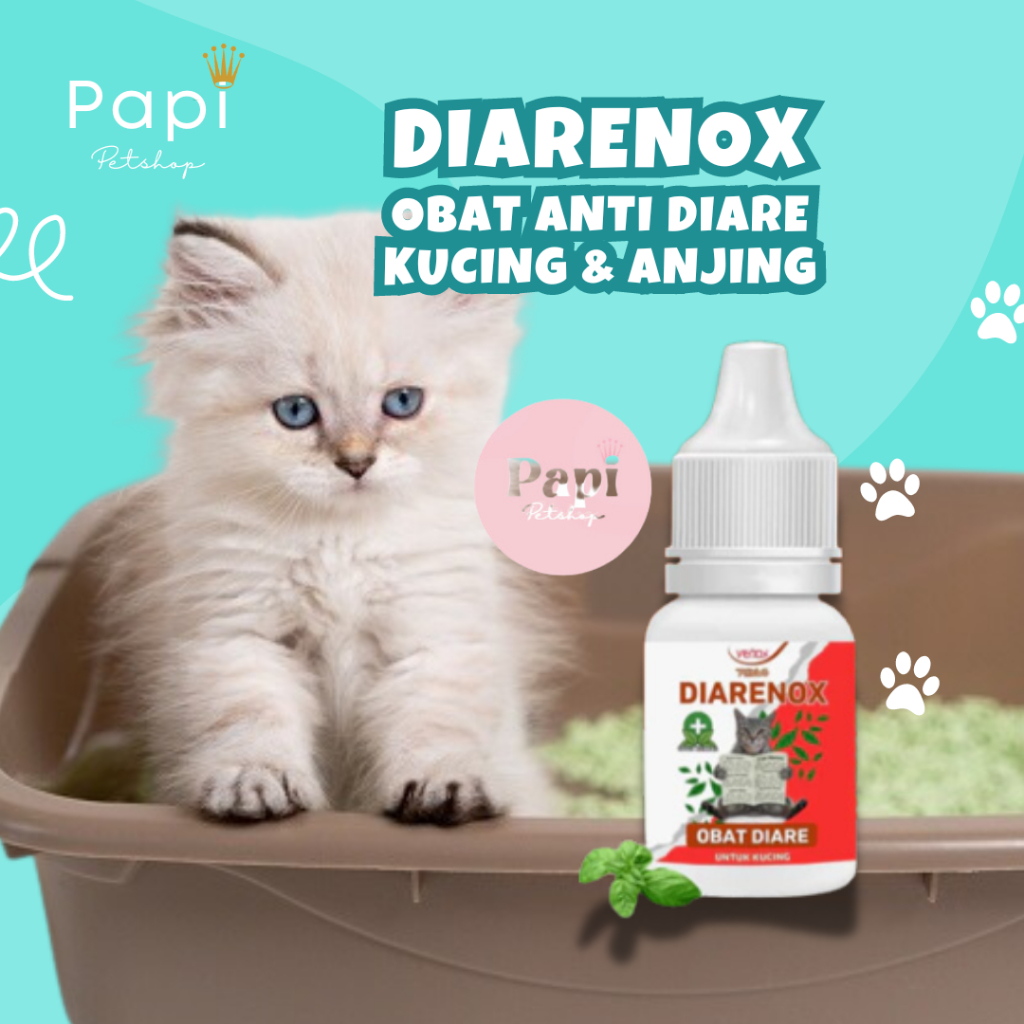 Diarenox Obat Mencret Diare Anak Kucing Venox Anti Diare Mencret Cat Kitten Adult Obat Sakit Perut K
