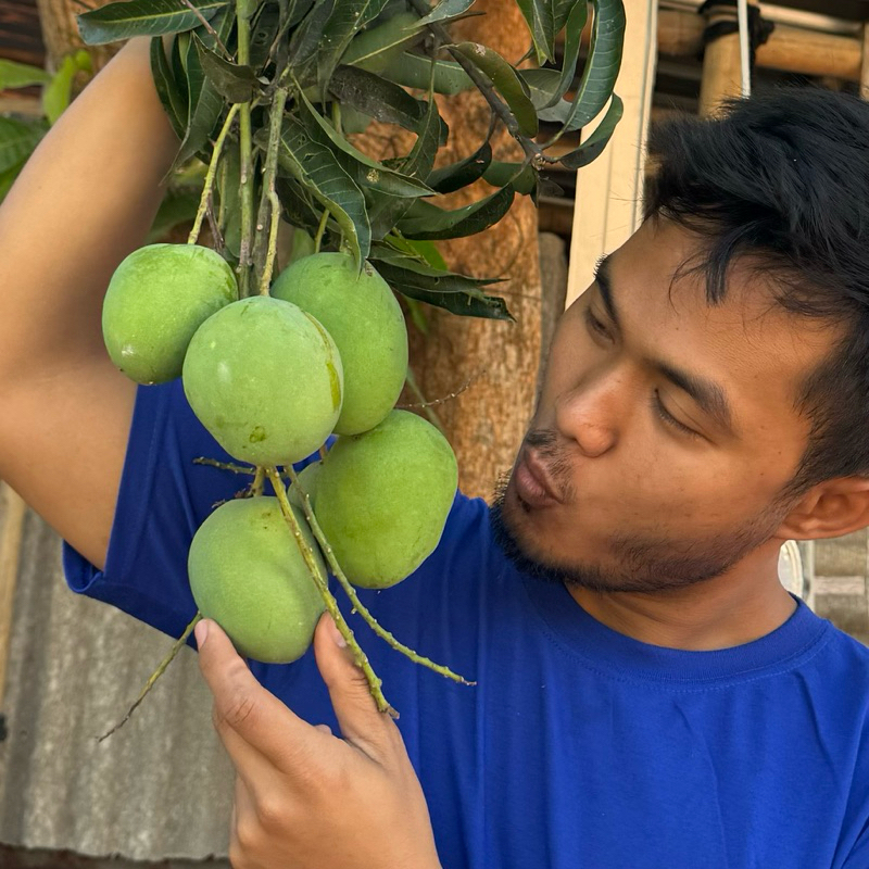 

(Sakera) 1KG MANGGA MUDA ASEM MANIS SEGGER