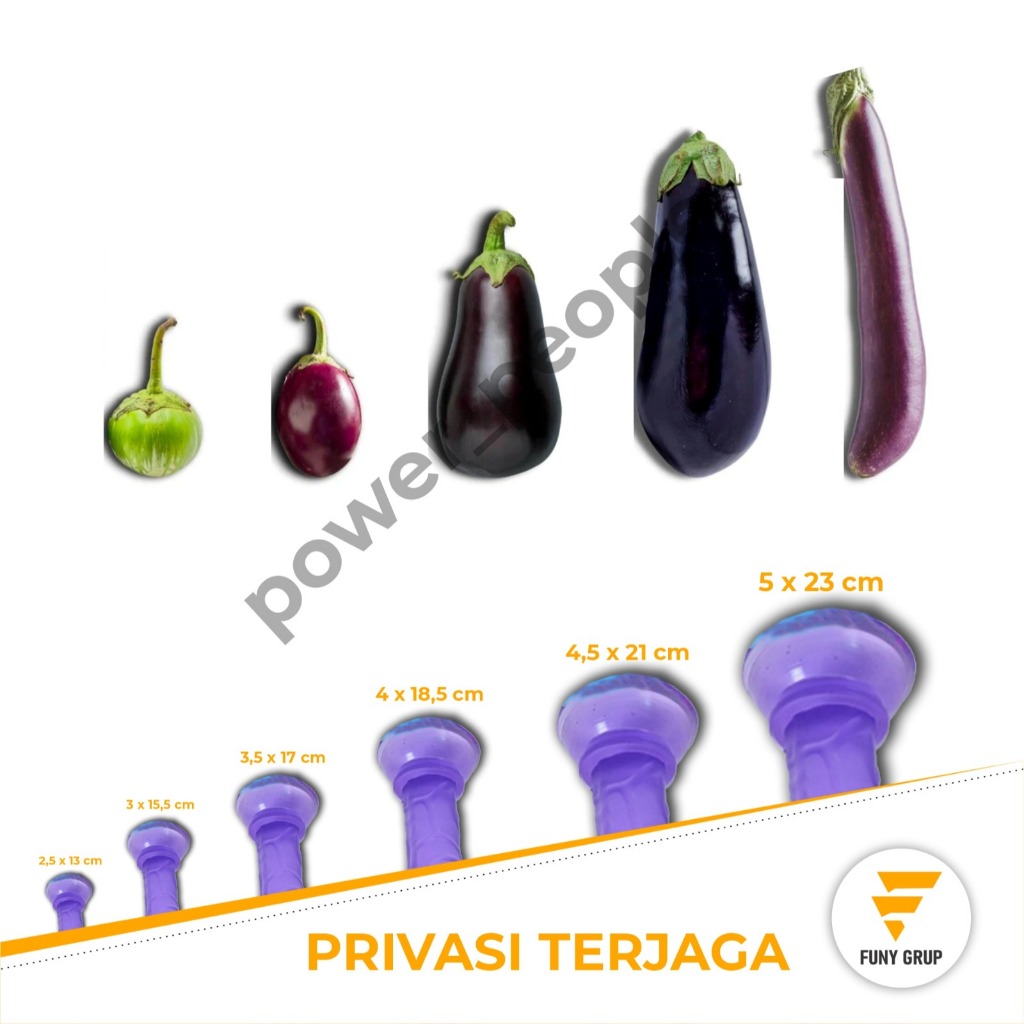 

terong mini sayur terong segar