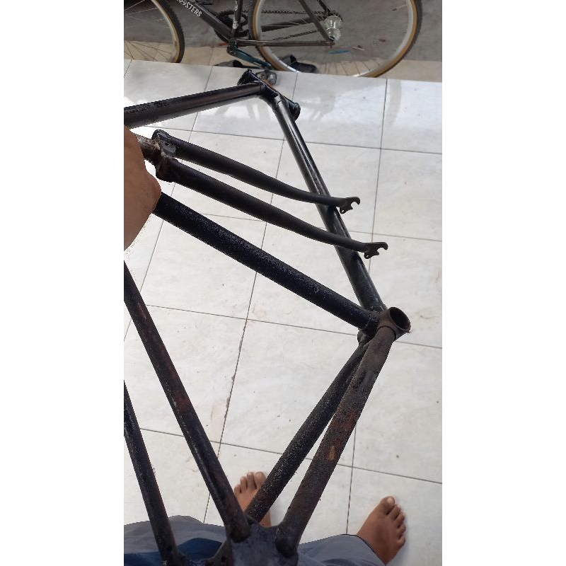 frameset fixie