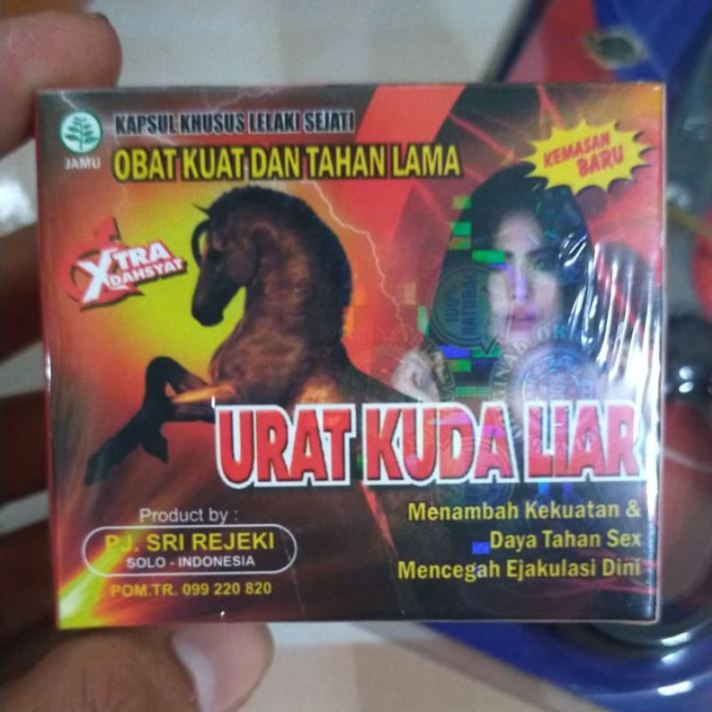 URAT KUDA LIAR KAPSUL ORIGINAL