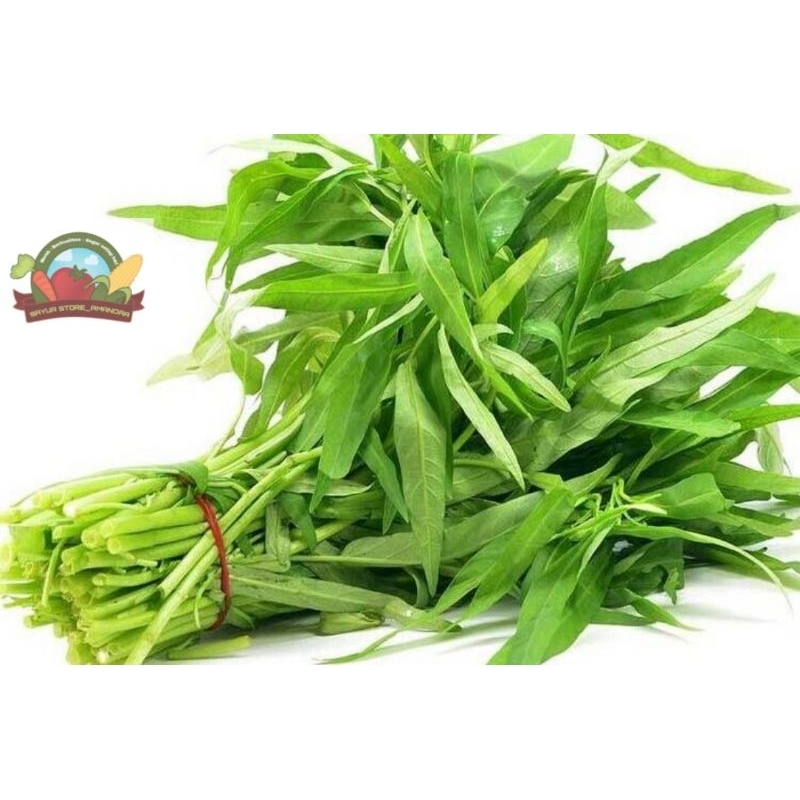 

kangkung 1 ikat