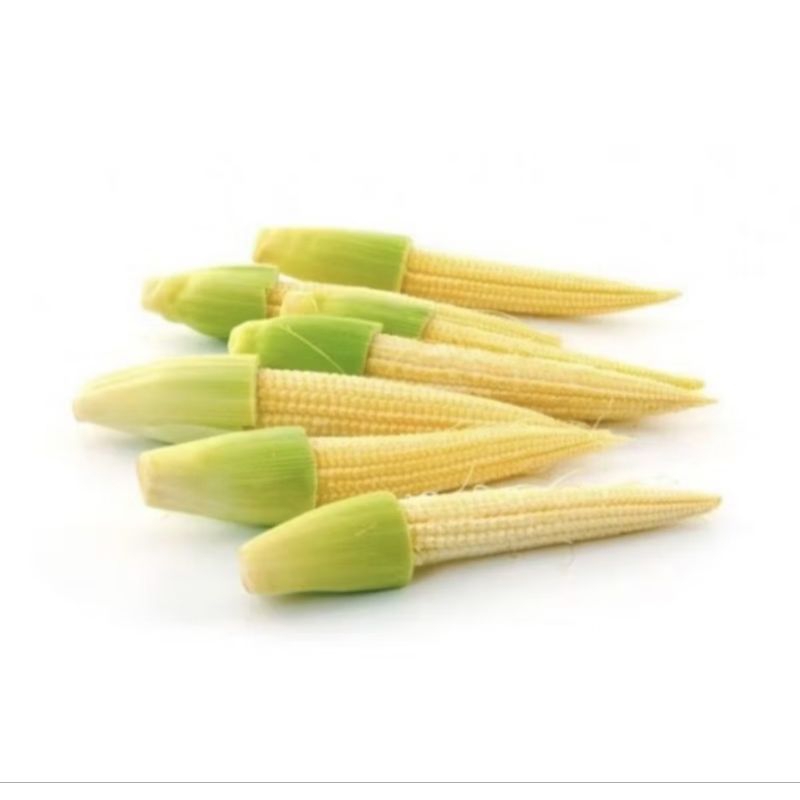 

JAGUNG MUDA / SEMI Super Fress 1 Kg