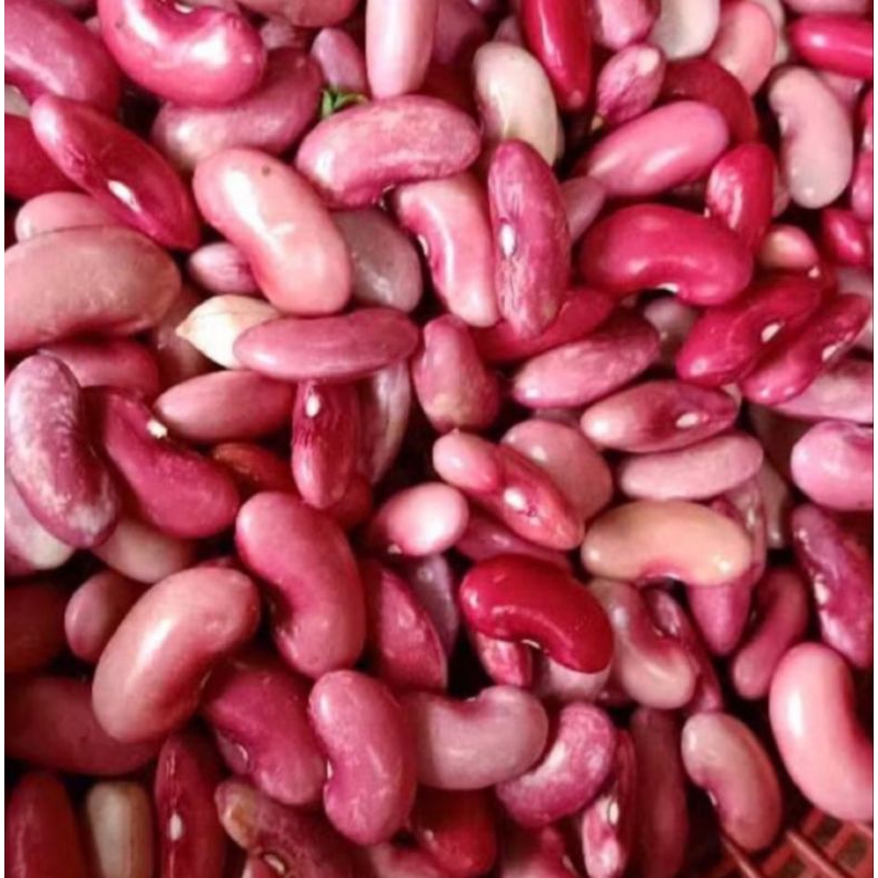 

KACANG MERAH Super Fress 1 Kg