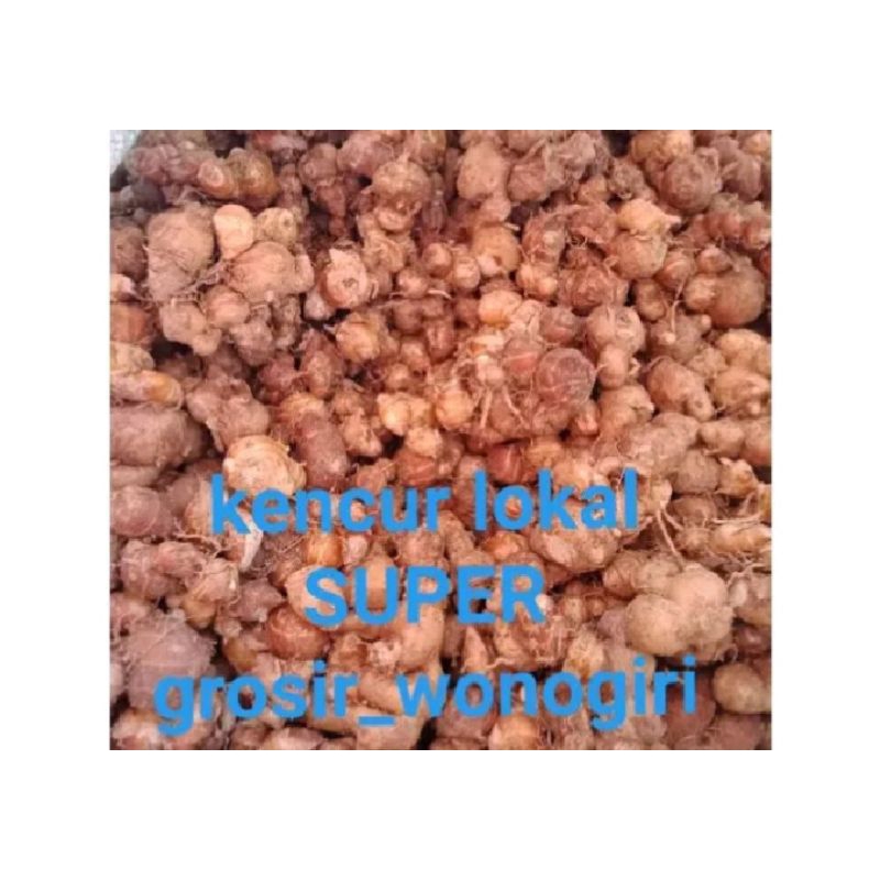 

kencur Jawa 30kg