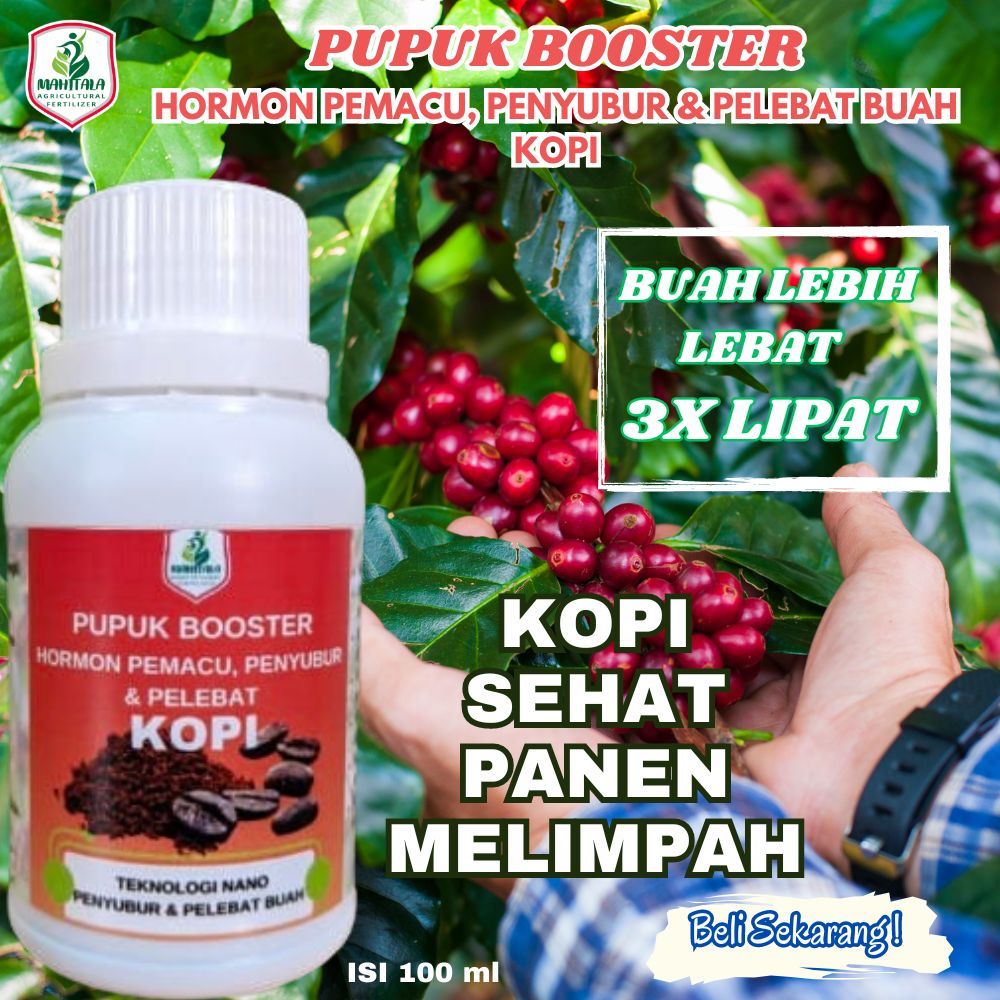 Pupuk Penyubur Daun dan Buah Kopi Pupuk Pelebat Buah Kopi Pupuk Buah Super Lebat Pupuk Khusus Peleba