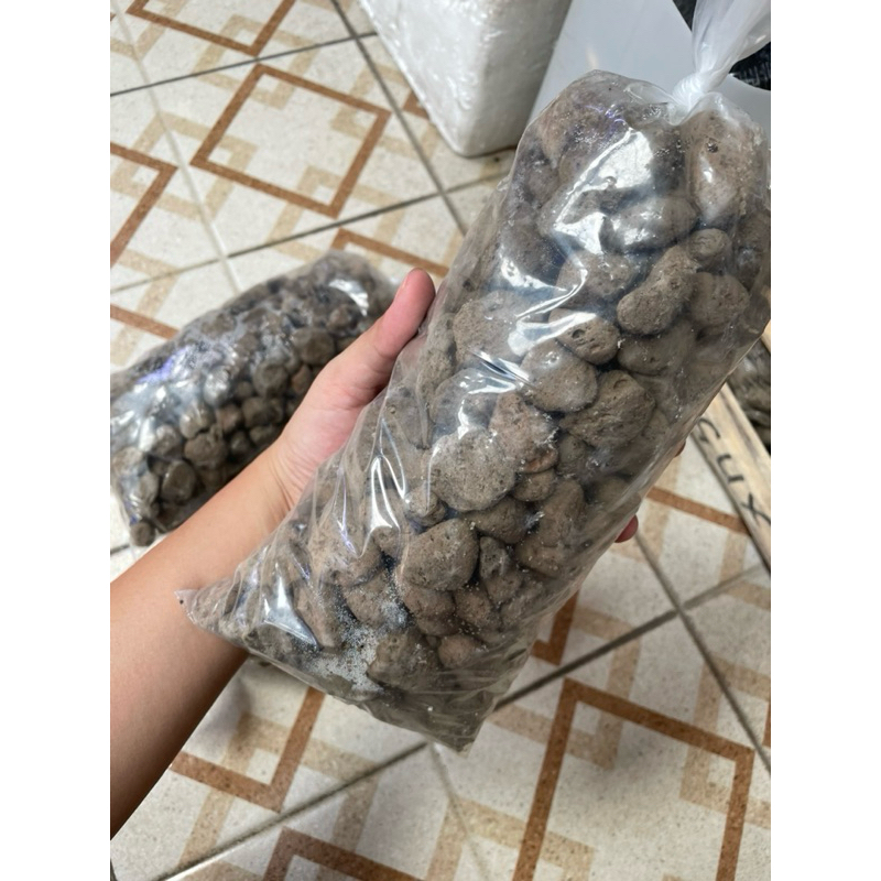 Batu Apung Media Filter Aquarium / Pumice