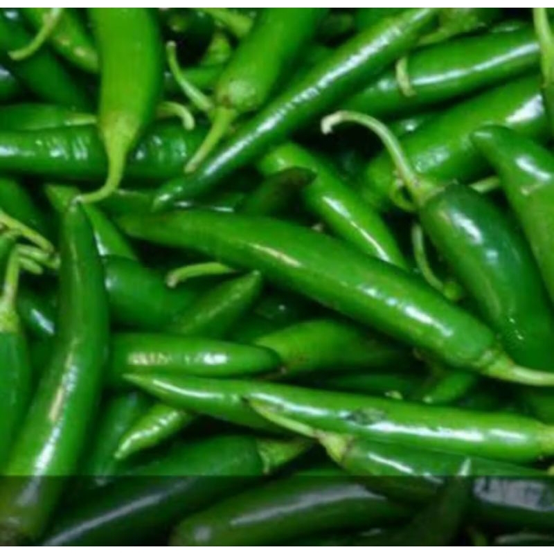 

CABAI HIJAU BESAR Super Fress 1 Kg