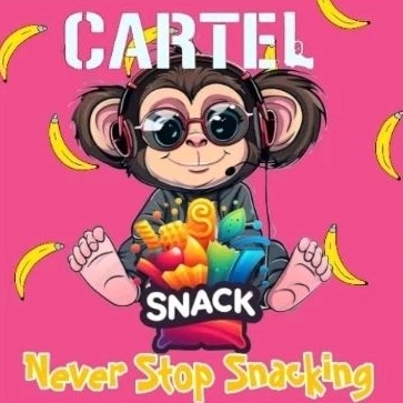 

co 1 paket snack