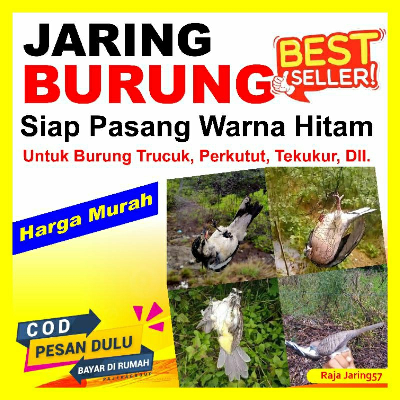 jaring burung/jaring burung trucuk/jaring burung perkutut/jaring burung tekukur/jaring siap pasang w