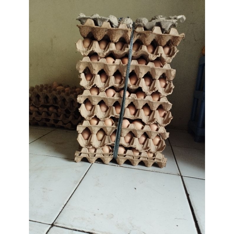 

TELUR AYAM NEGRI 1KG