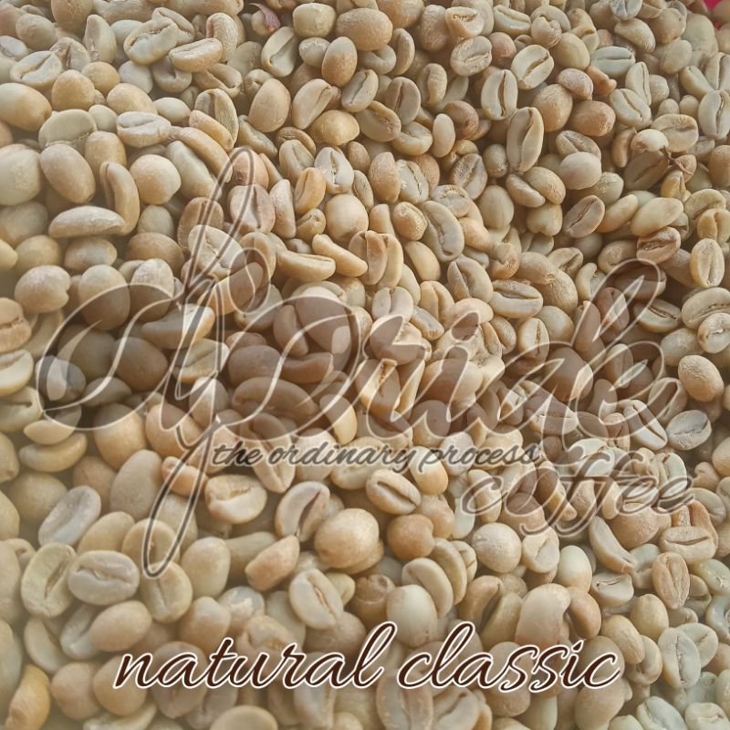 

BIJI KOPI ARABICA/GREENBEAN ARABICA NATURAL CLASSIC SPECIALTY 1kg