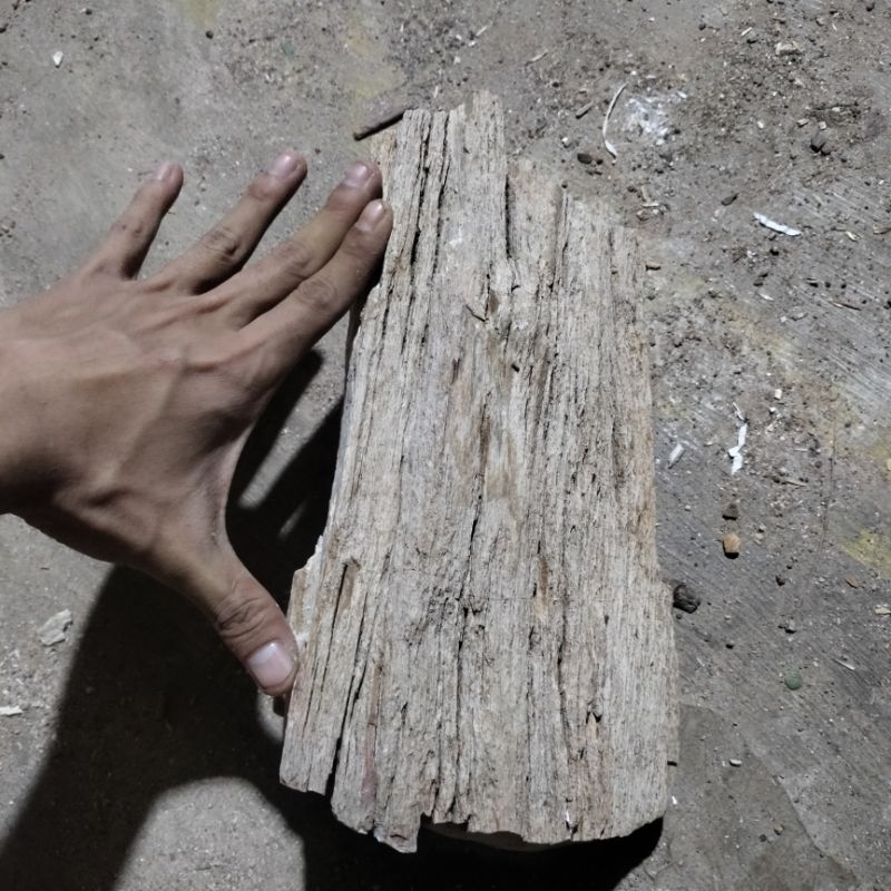 batu hiasan aquarium aquascape batu fosil kayu super besar isi 10kg