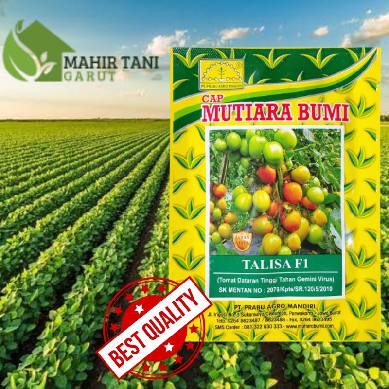 

benih Tomat Talisa F1 dataran tinggi tahan virus 10gram
