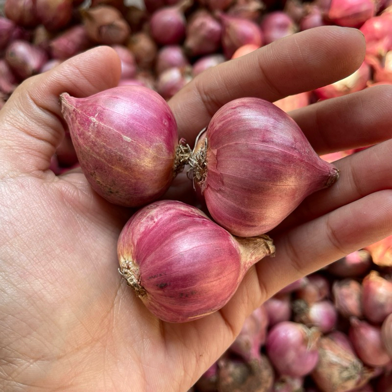

Bawang Merah Besar 1kg