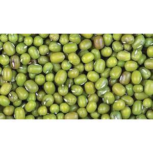 

Kacang Hijau Import Premium 250gr