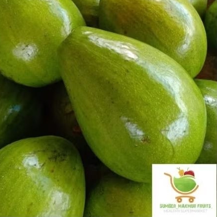 

Alpukat Mentega 1 kg Terlariss.