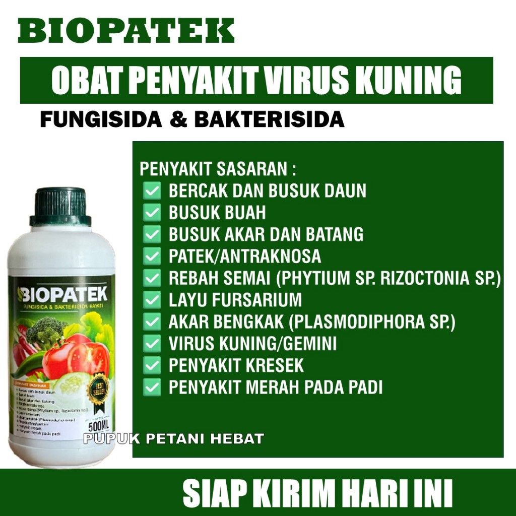 500ml BIOPATEK Obat Bercak Daun dan Busuk Buah, akar dan Batang, Patek/antraknosa, Layu fursarium Bu