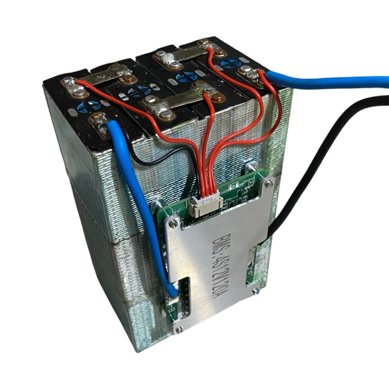 Baterai Battery Lifepo4 12V 22AH Include Sudah BMS 120A Ikan