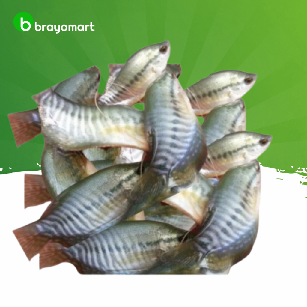 

Ikan sepat 500 gram Brayamart